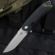 Ніж складний Bestech Knife Lion (BG01A)