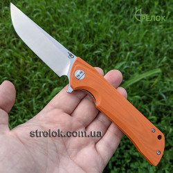 Ніж складний Bestech Knife Paladin (BG13C-1)
