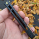 Ніж складний Bestech Knife Spike (BG09A-1)