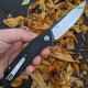 Ніж складний Bestech Knife Spike (BG09A-1)